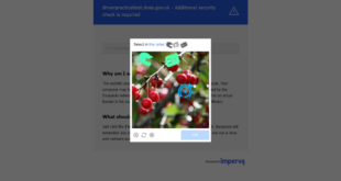 How were dealing with bots and the reselling of driving