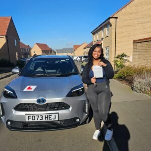 Sergiu Ardelean learner pass