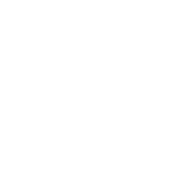 Fast-track driving test